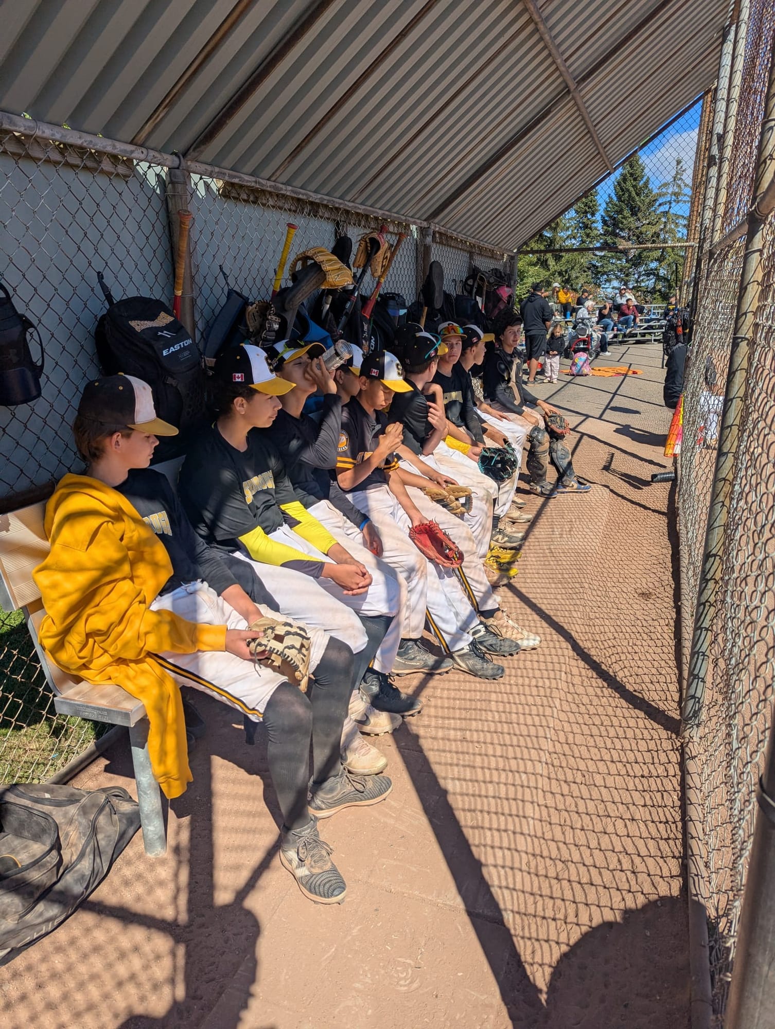 Meet the <span class="text-gold">Stingers</span>